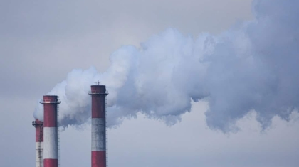 Photo Carbon offset certificate