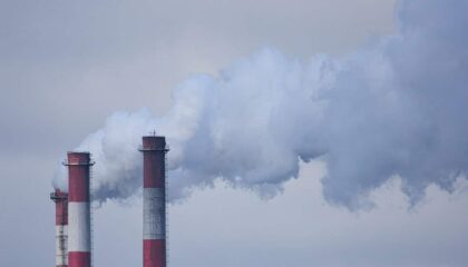 Photo Carbon offset certificate