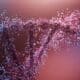 Photo Gene editing