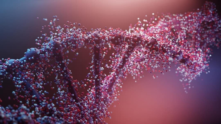 Photo Gene editing