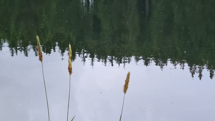 Photo Data Lake Cleansing