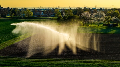 Photo Drip irrigation