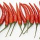 Photo Genetically modified crops