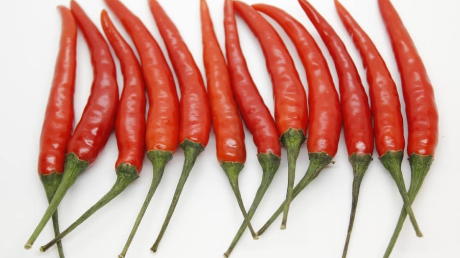 Photo Genetically modified crops