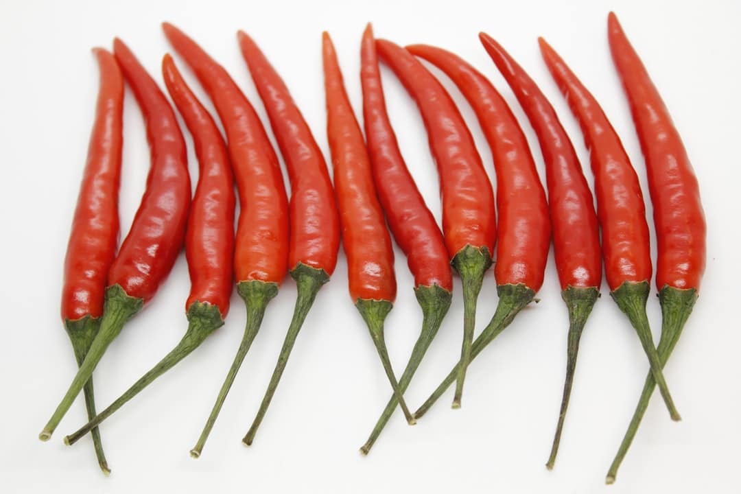 Photo Genetically modified crops