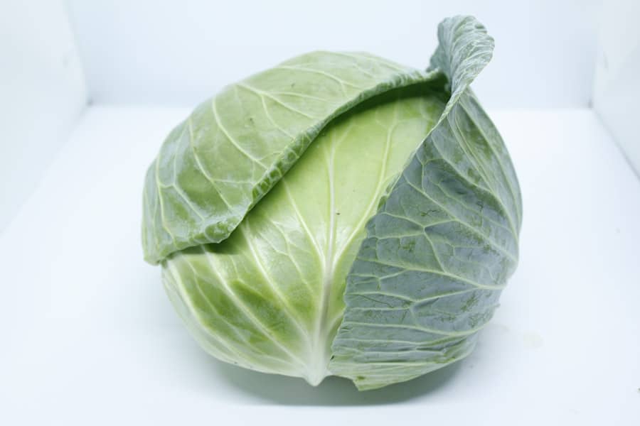 Photo Genetically modified crops