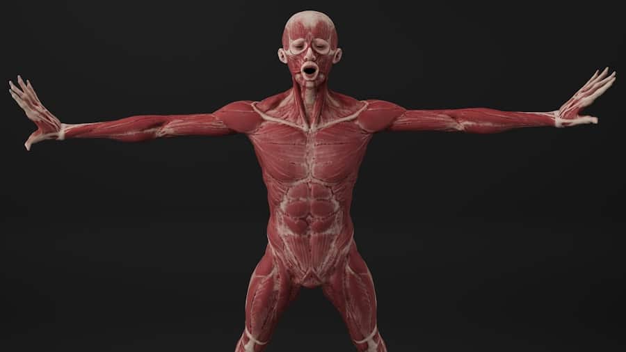 Photo Bioprinted skin