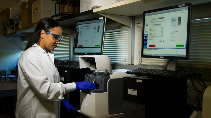 Photo DNA sequencing