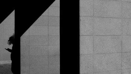 Photo Tax software
