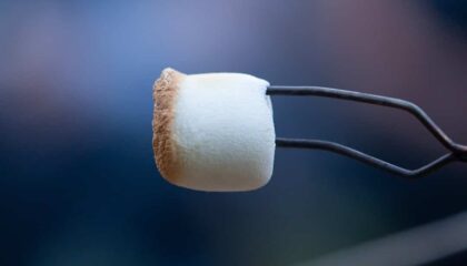 Photo Smart Implant