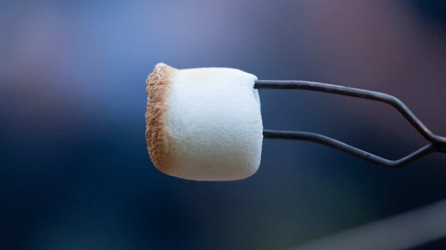 Photo Smart Implant