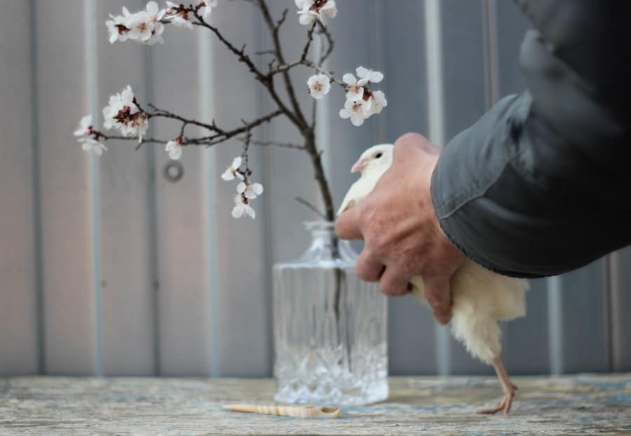 Photo Smart Pet Feeder