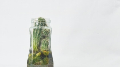 Photo Sustainable Finance