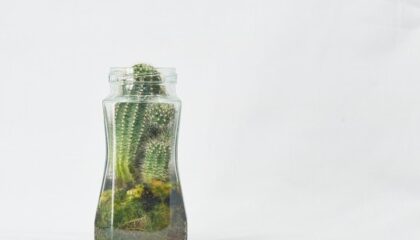 Photo Sustainable Finance