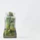 Photo Sustainable Finance