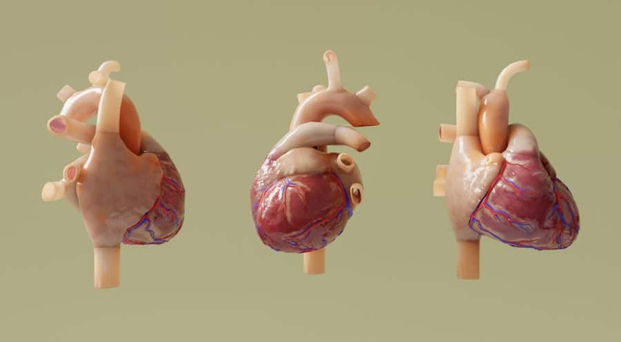 Photo Medical simulation