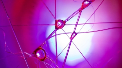 Photo Regenerative Medicine