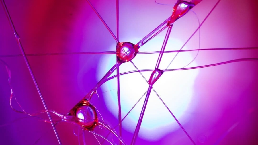 Photo Regenerative Medicine