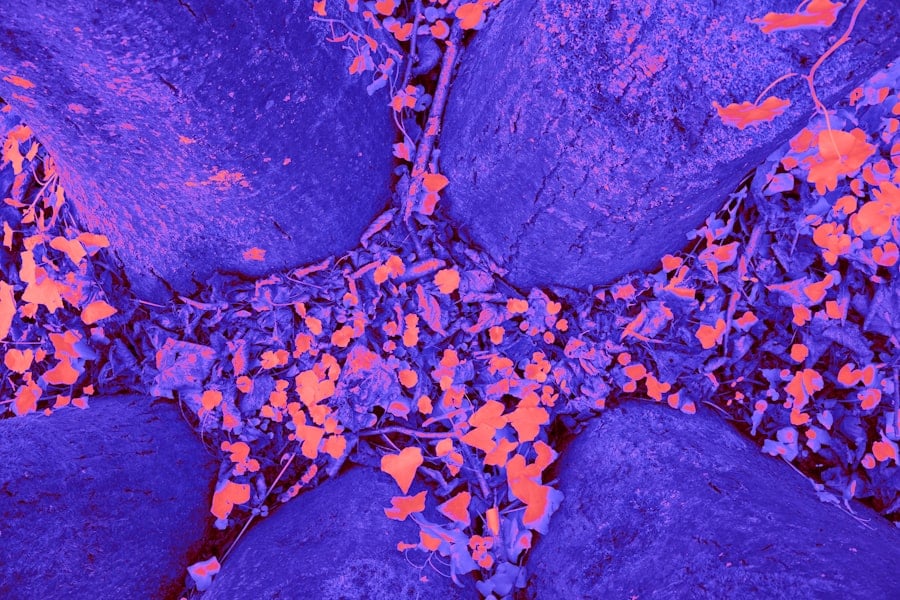 Photo Regenerative Medicine