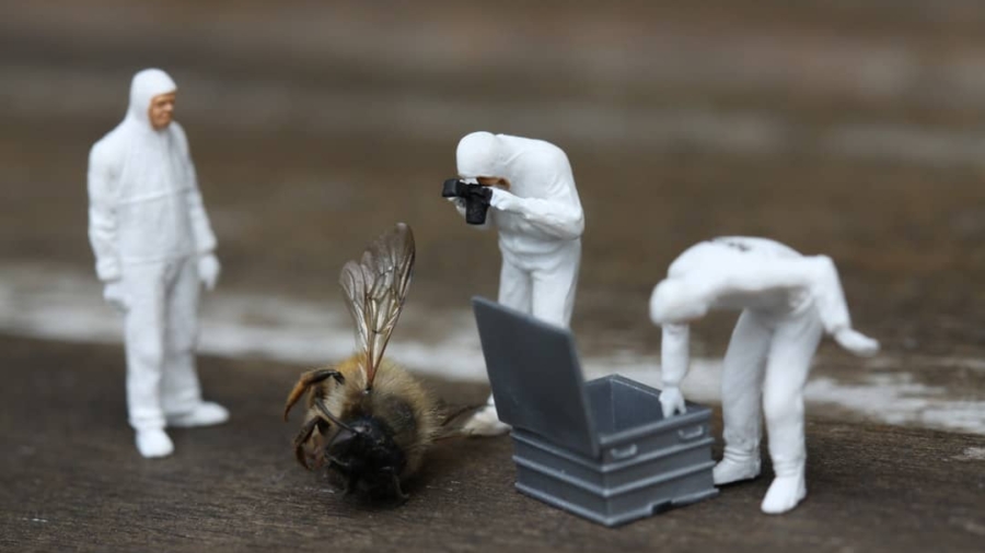 Photo Virtual teamwork