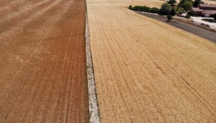 Photo Agricultural drone