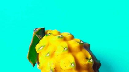 Photo Fruit vaccine