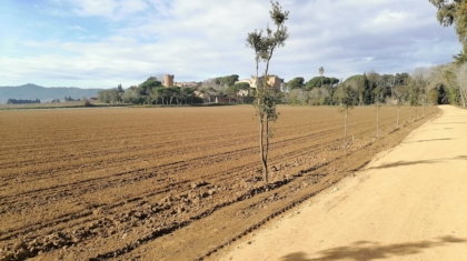 Photo Smart irrigation