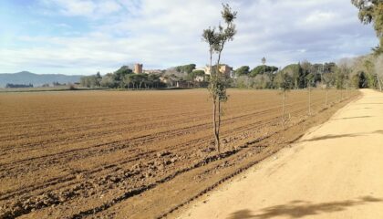 Photo Smart irrigation