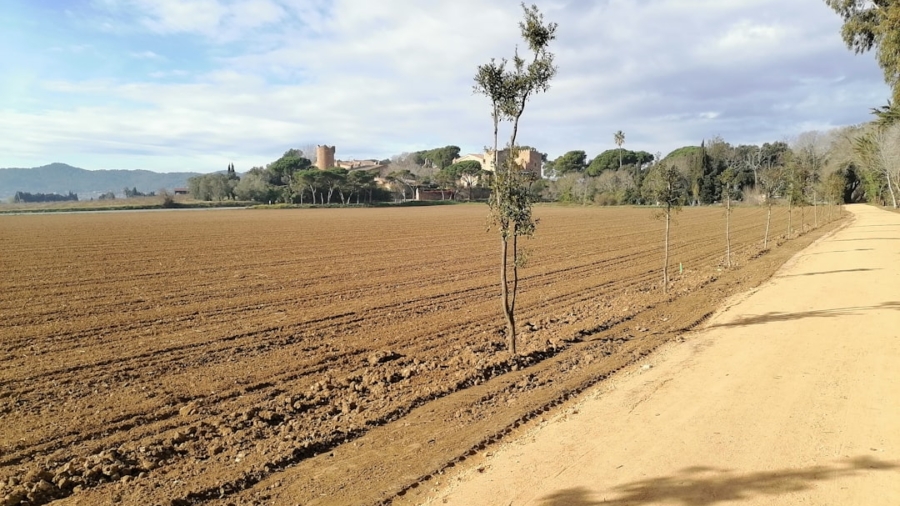 Photo Smart irrigation