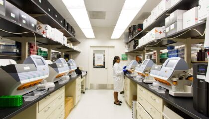 Photo DNA sequencing