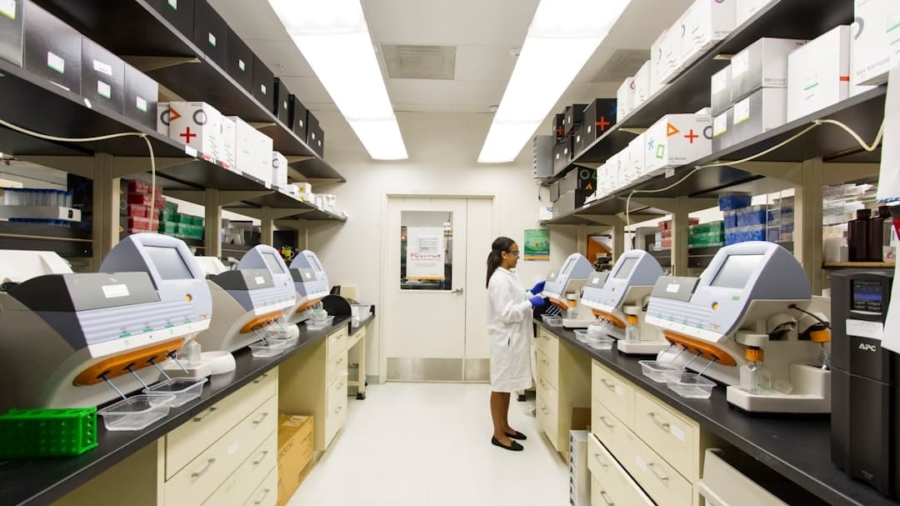 Photo DNA sequencing