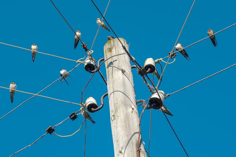 Photo IoT, Energy Sharing Networks