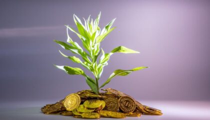Photo DAO-Based Investment Clubs