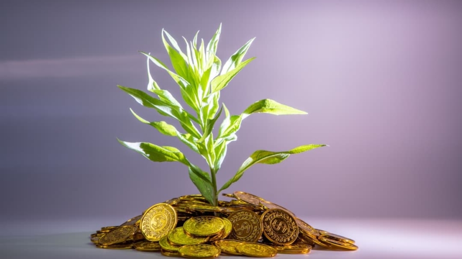 Photo DAO-Based Investment Clubs