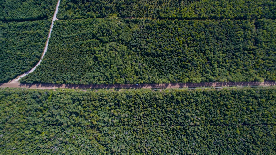 Drones for Reforestation