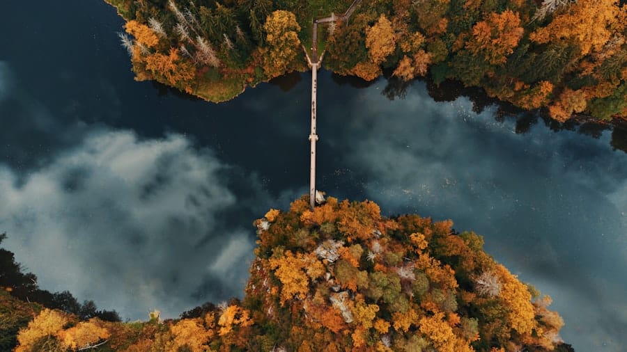 AI, Data Lakes