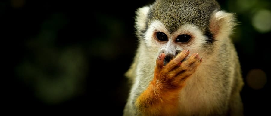Ethical Disclosures