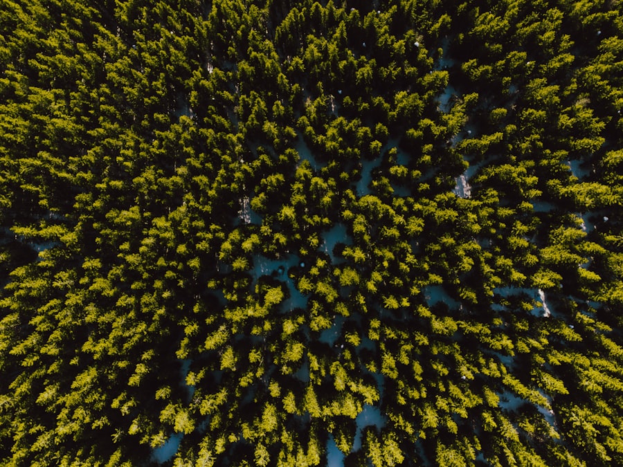 Swarm Robotics
