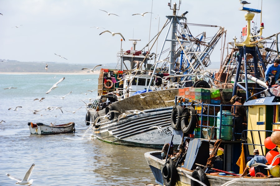 Illegal Fishing Practices