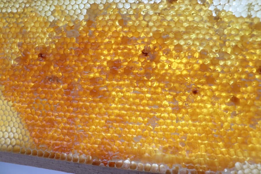 Honeypots