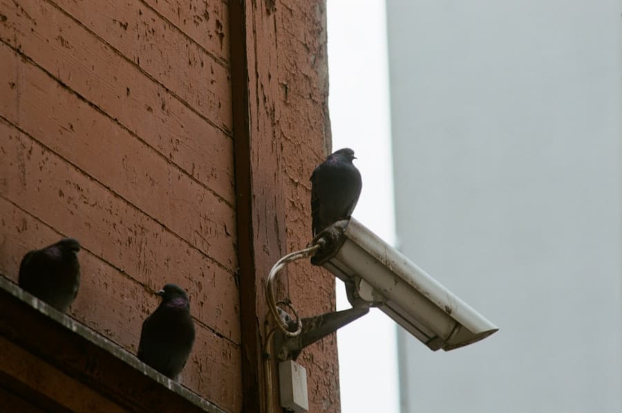AI Monitoring
