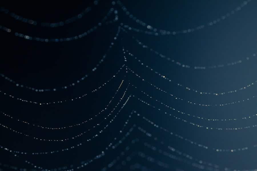 Decentralized Autonomous Organizations (DAOs)
