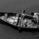 Photo AI in Sustainable Fishing Practices