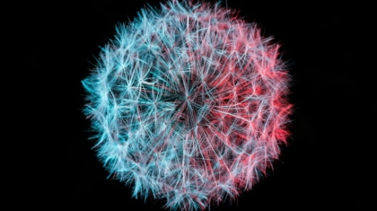 Photo Protect IoT Networks