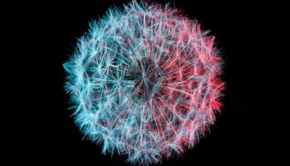 Photo Protect IoT Networks