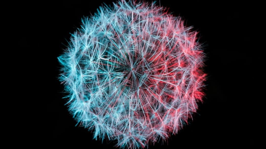 Photo Protect IoT Networks