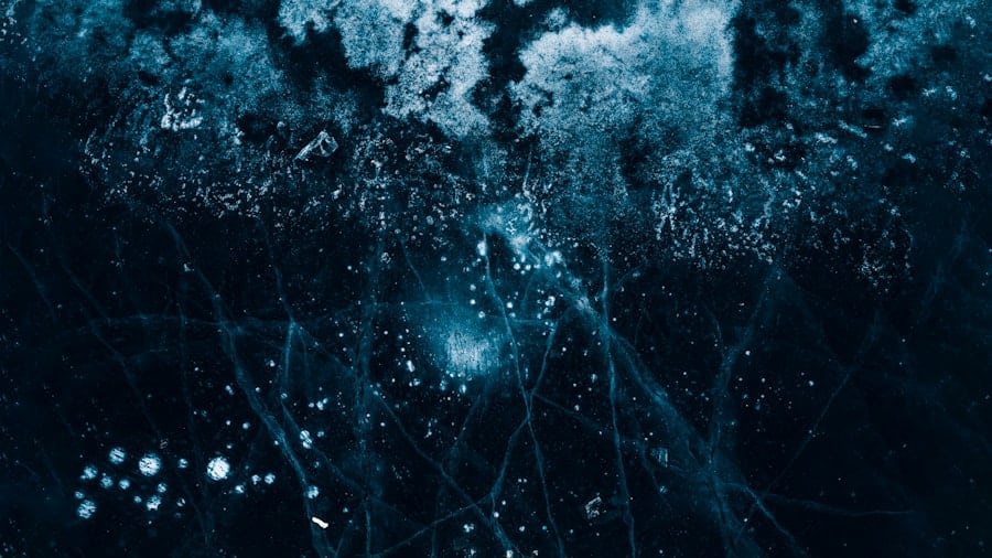 Photo Decentralized Autonomous Organizations (DAOs)