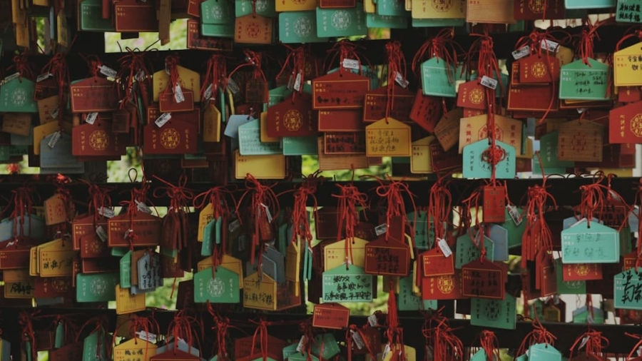 Photo Containerization