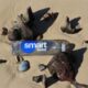 Photo Smart Insoles