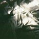 Photo Headless CMS